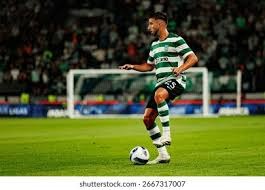 纽约洋基队宣布：2026 赛季将正式在洋基球场内增设“索托时代”回顾走廊以示敬意