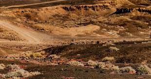 邮报：小将塞古-科内已经重返赛场，和多古用同一个私人教练