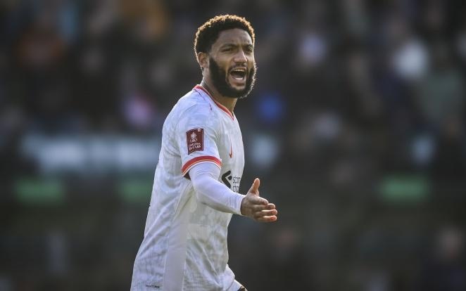 主导的领域 主导的领域